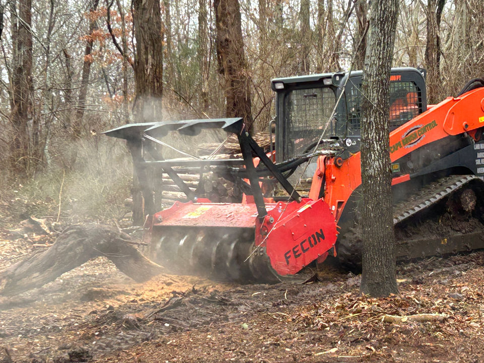 Skid Steer Mulching up tree