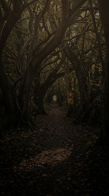 Dirt_path_through_tree_tunnel_202607211851.jpeg