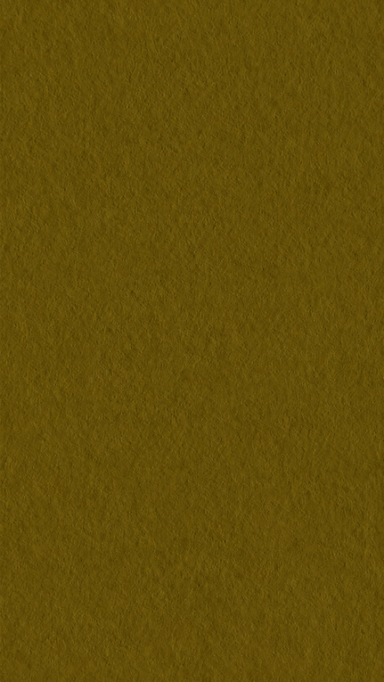 TEXT2.png