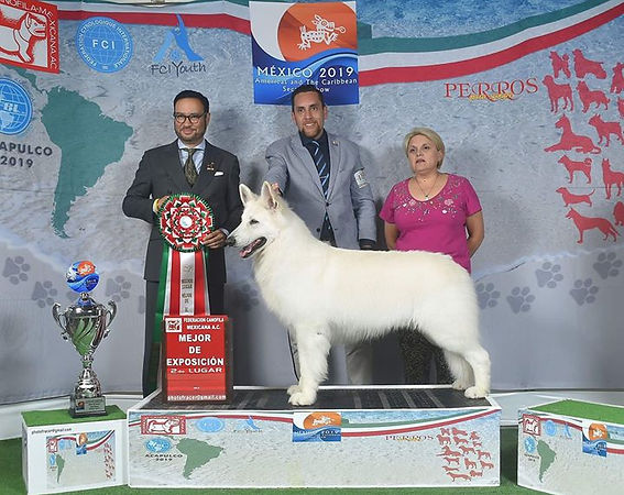 Foto oficial Americas & El Caribe Acapul