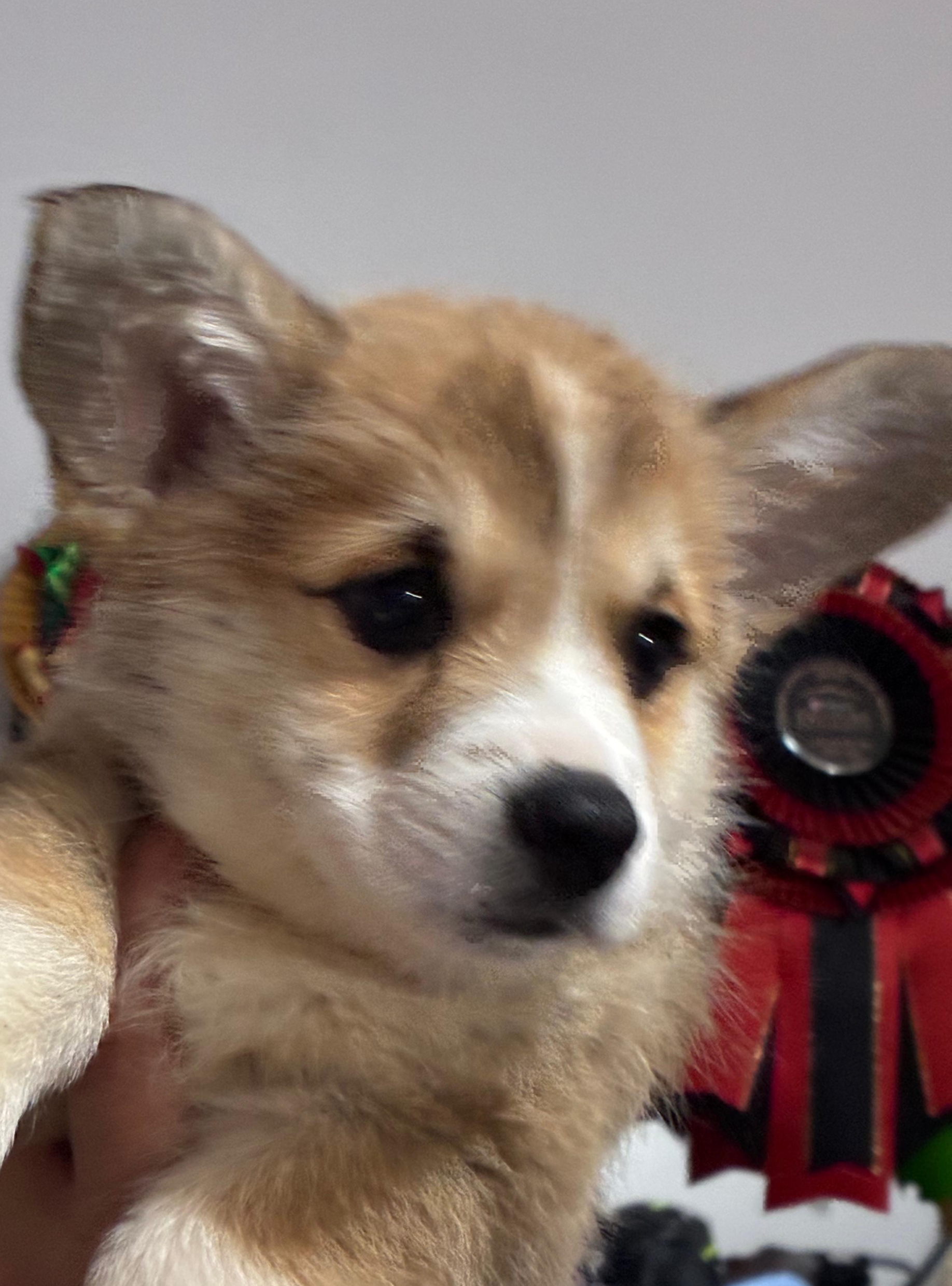 WhatsApp Image 2026-01-22 at 00.03_edited.jpg