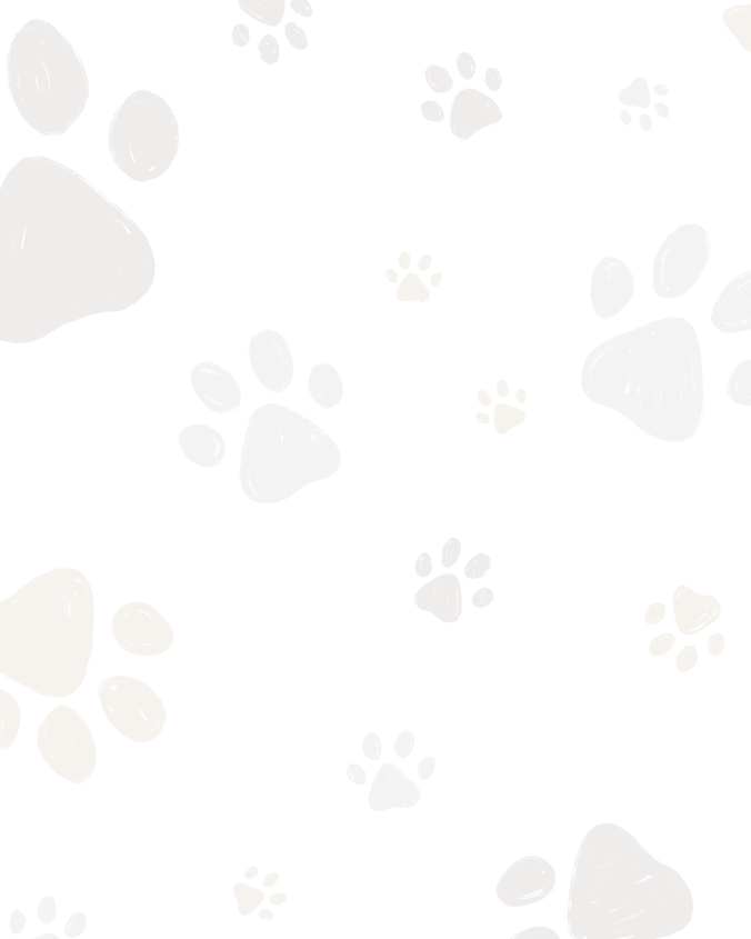 Dogathon Social Tiles 2026 (5).png