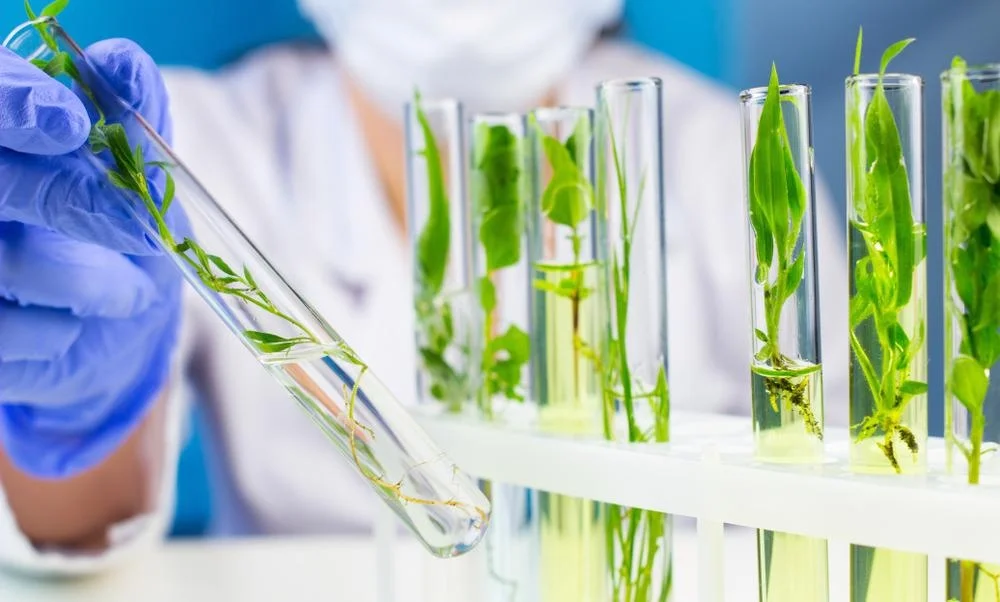 biotechnology