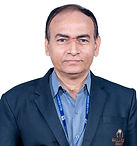 S.V.S. Hanumantha Rao.jpg