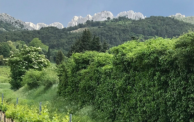 dentelles2.jpg