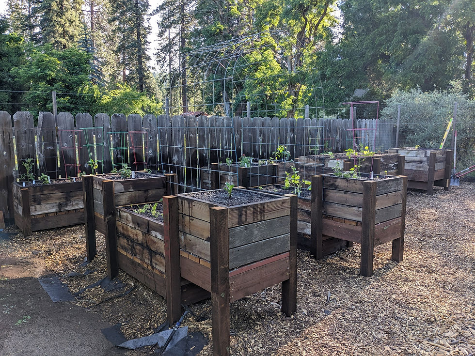 Raised Bed Garden