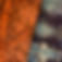DFB00E0C-79E6-4045-9B92-D9FFDF16413F_1_2