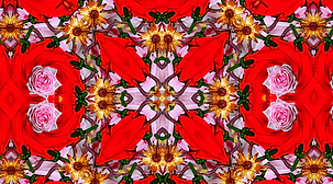 Captura de Pantalla 2025-04-17 a la(s) 16.09.00.png