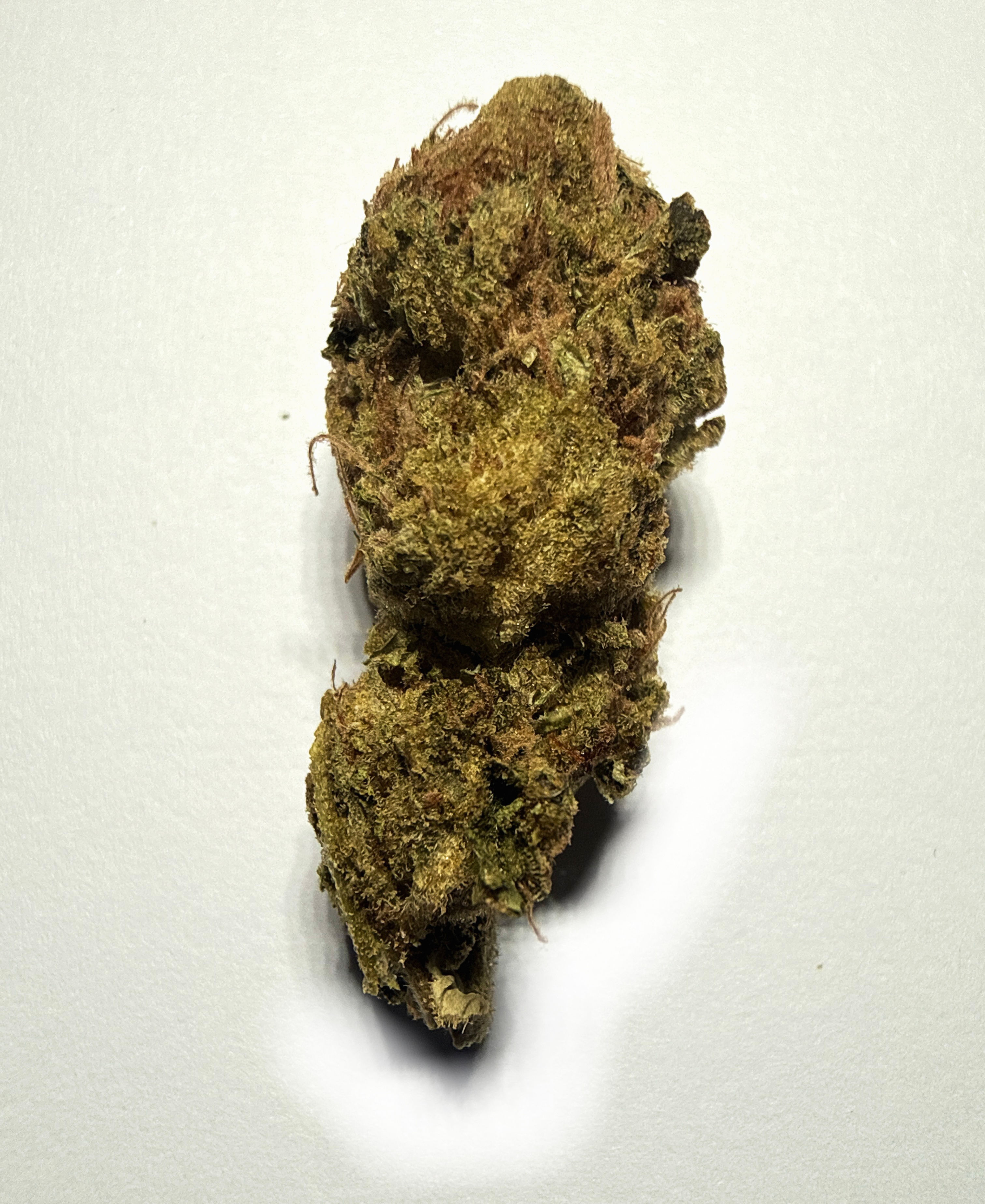 Jelly Donuts Greenhouse Bud per gram