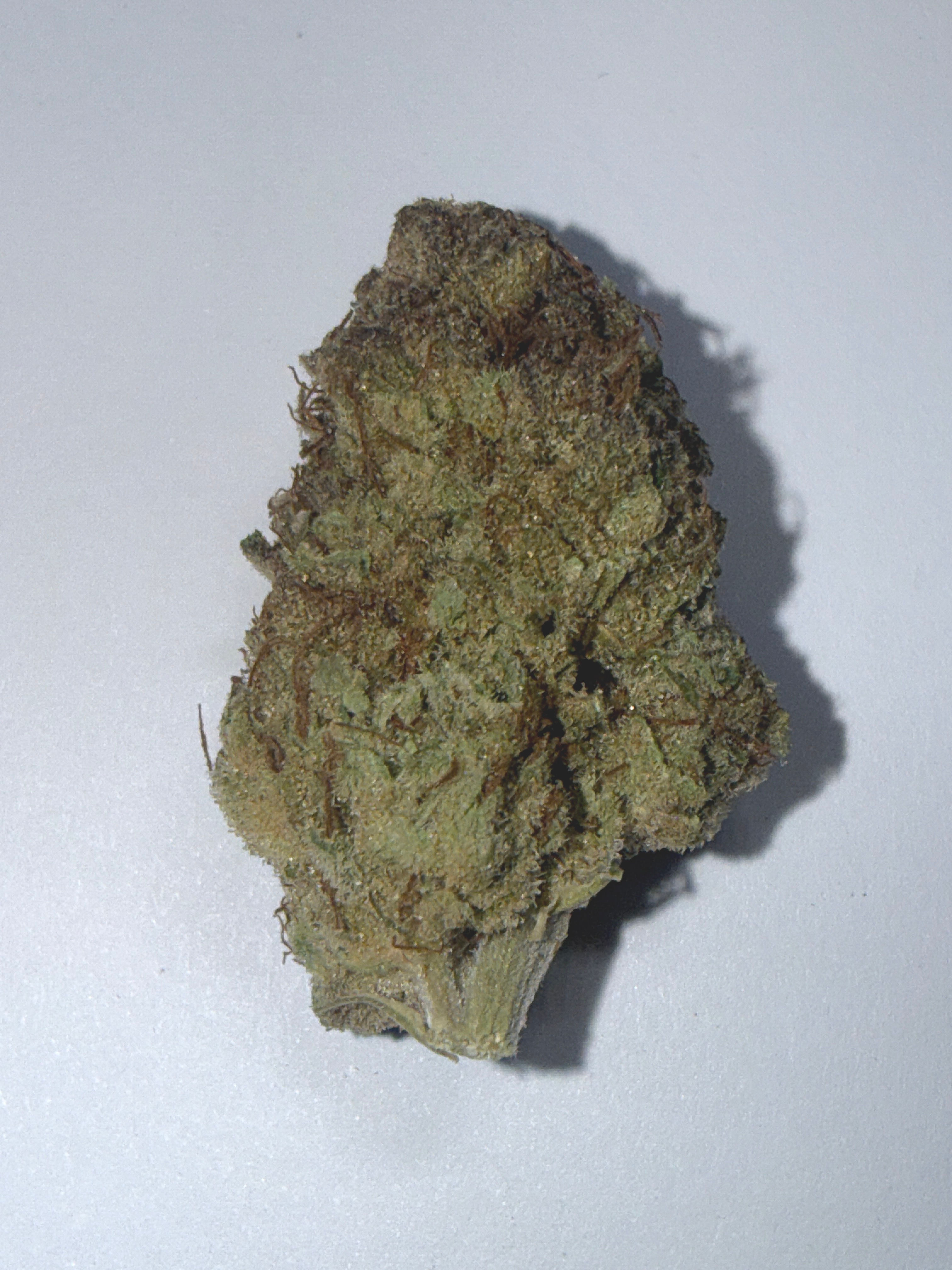 Sunset Sherbet Greendoor bud per gram