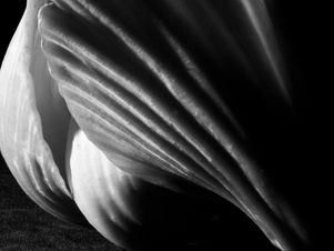 戀愛不僅是為了得到他:關於愛的藝術 (下)