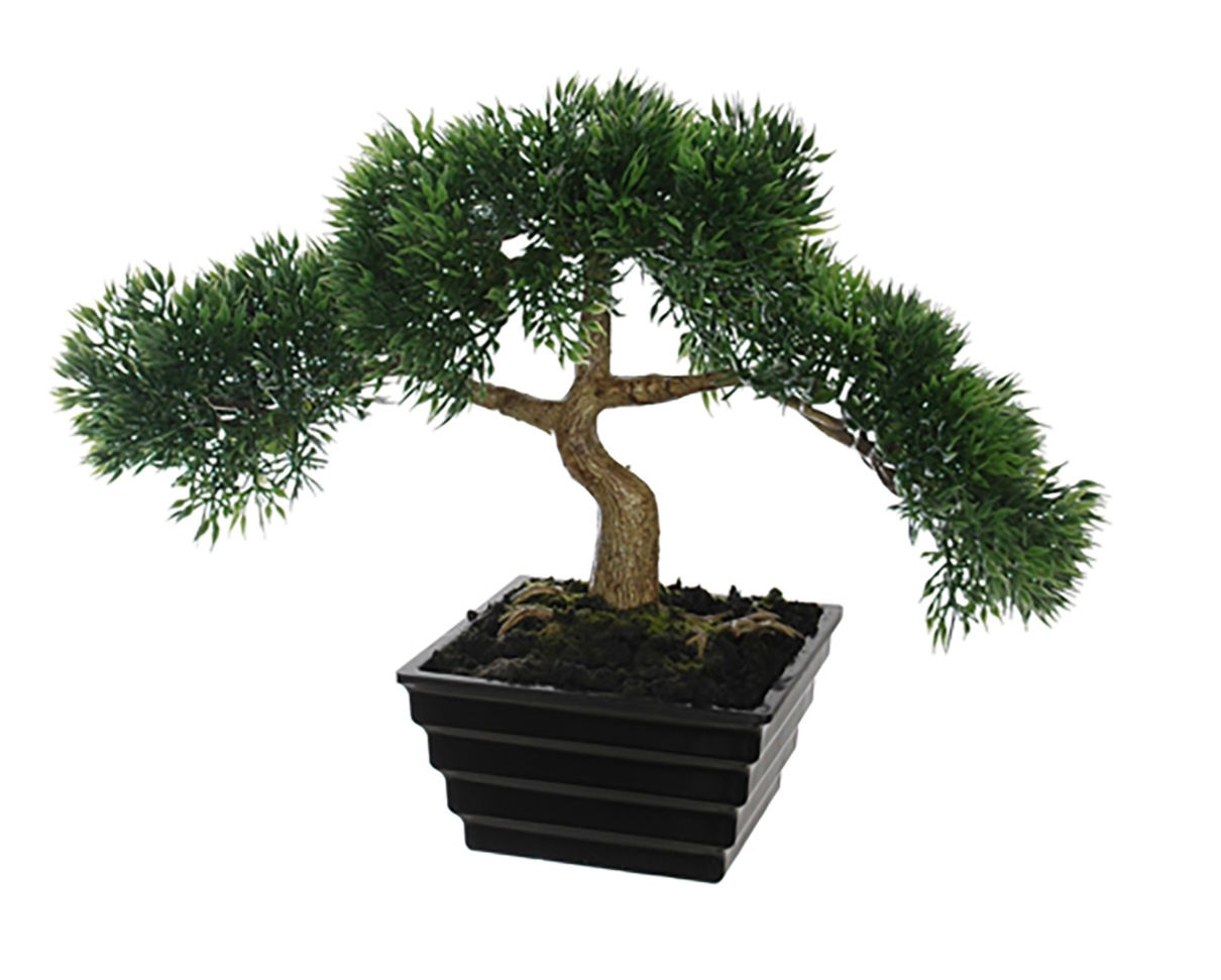 BONSAI