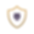 Shield Icon V2 (2500 x 2500 px).png