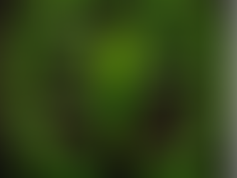 Bacterias Benevolentes: Aliadas Invisibles del Agro del Futuro