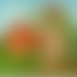 Franquicias Rurales: ¿Puede tu Granja Convertirse en Marca Nacional?