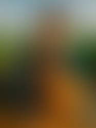 Negocios que Crecen sin Inversión Inicial