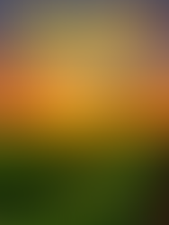 El futuro del agro: tendencias que marcarán los próximos años