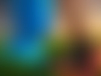 Semillas y Granos: Energía Pura para un Cuerpo Consciente