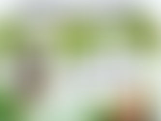 EL AMBIENTE SONORO como herramienta para crear atmósferas en IMPRO 🎭🎶