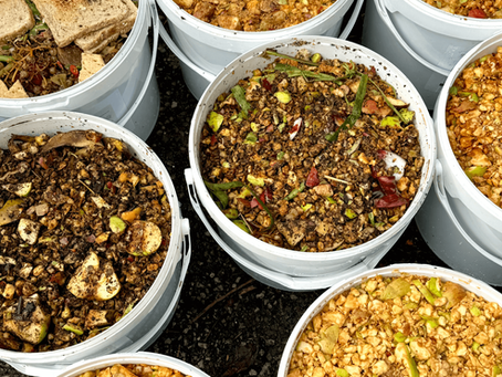 The Benefits of Bokashi Composting