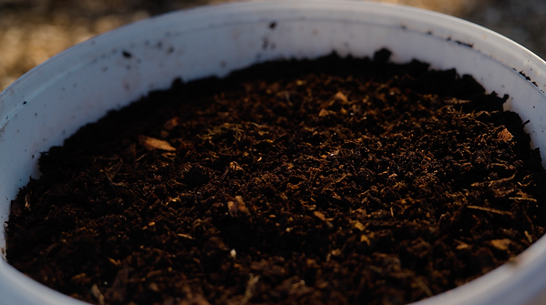 Compost in a white bucket