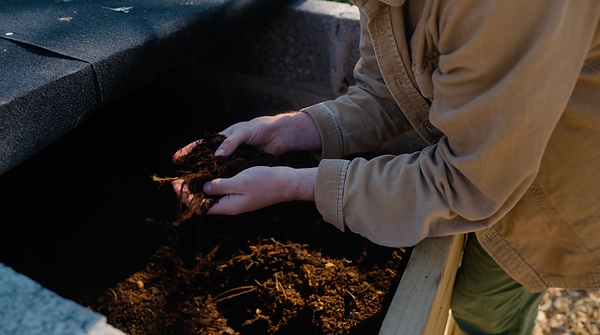 Hands holding compost in a bin