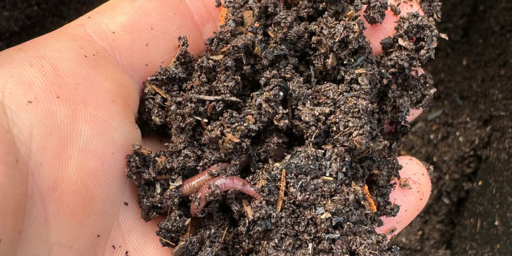 A Handful of Generation Soil Living Compost made from Bristol Food Waste.