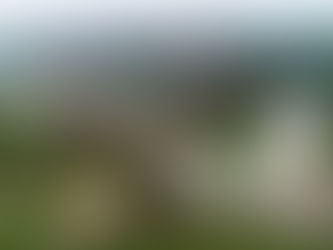 Aerial view of a suspension bridge over greenery and a river, with a stone tower and circular garden in the foreground, under a cloudy sky.