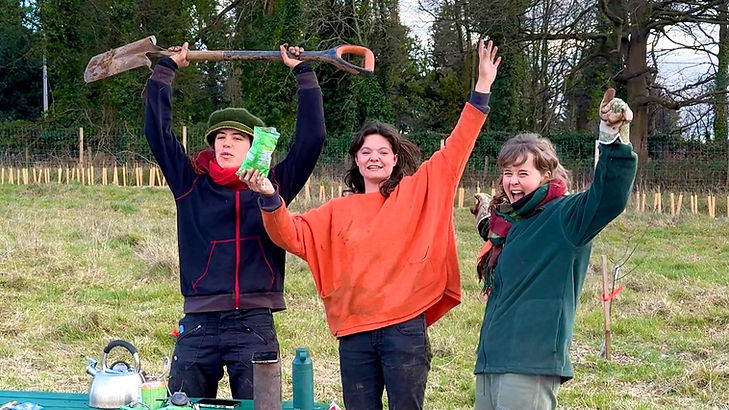 Generation Soil Volunteers at Food Forest Market Garden at Roots Allotments in Bristol