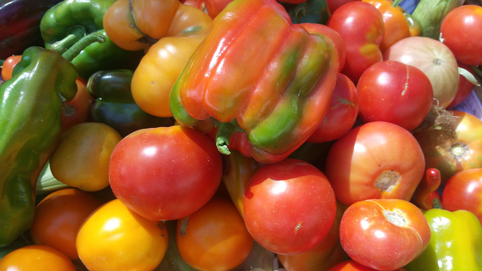 Taste of Fall All Year Long