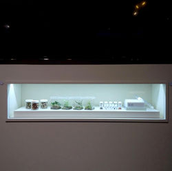 국립생물자원관의 역할