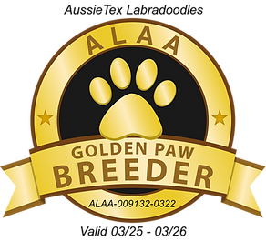 ALAA GOLDEN PAW 2025-26.png