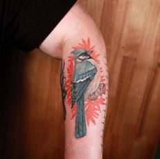 La Tropicana co tattoo tattoos tatuajes realism fine line color realism fort Myers Florida swfl 