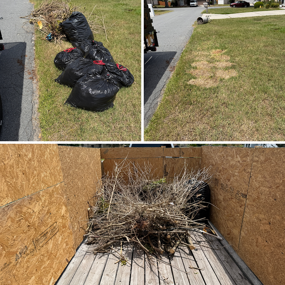 Yard waste removal in Lakeland FL by Central Florida Junk.