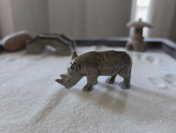 Miniature rhinoceros in sand