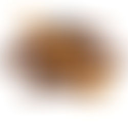 2 weeks until our first season!!