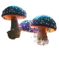 images (76)_edited_edited.png