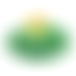 Associate director - enterprise architect  – IIOT & supply chain digitalization  
