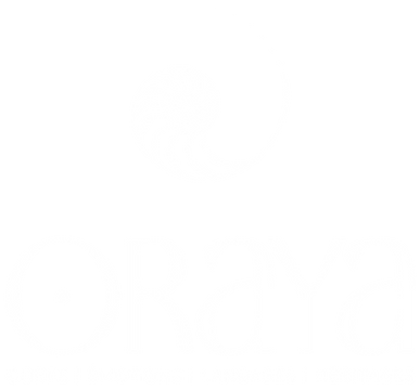 Logo principal blanc.png
