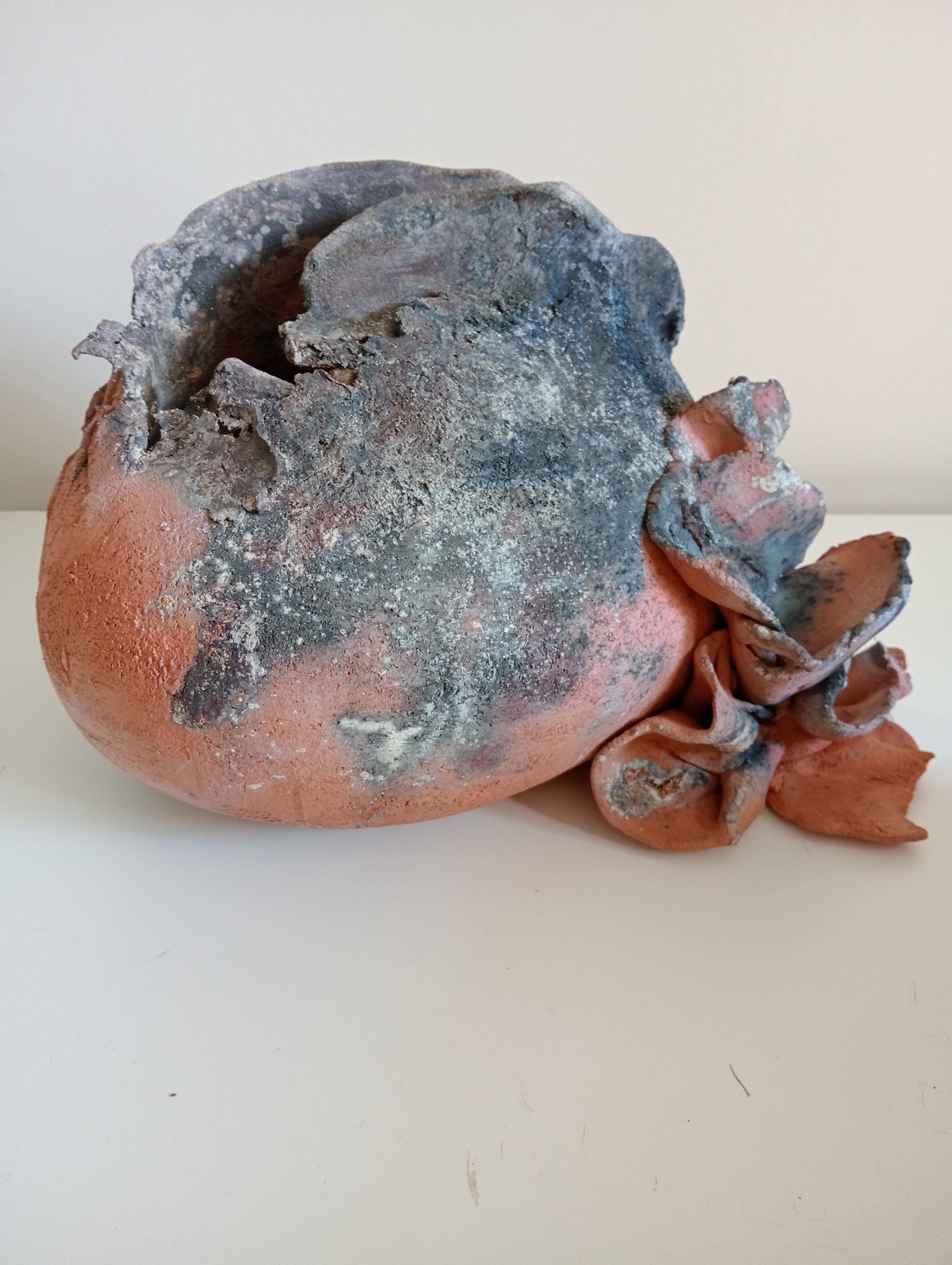 Phelps, Shabbi ~ Neptune's Garden