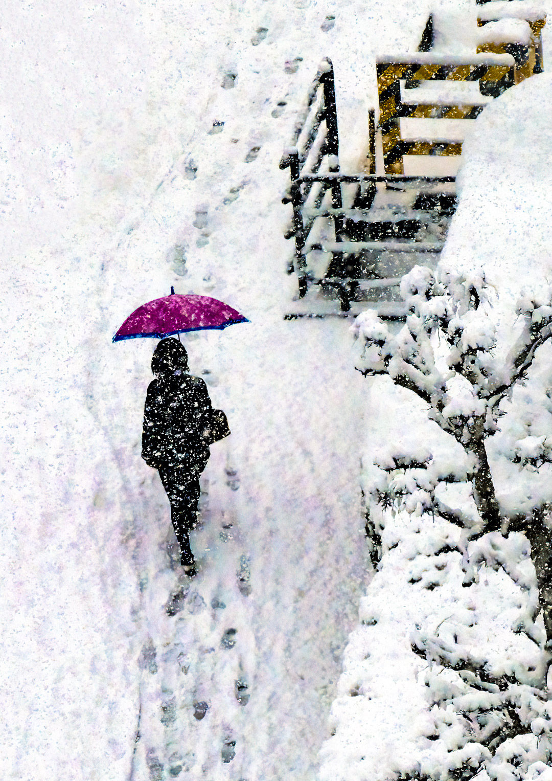 Bastian, Paul ~ Japanese Snow Storm 1