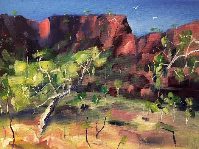 Above Dale's Gorge Karijini.jpeg