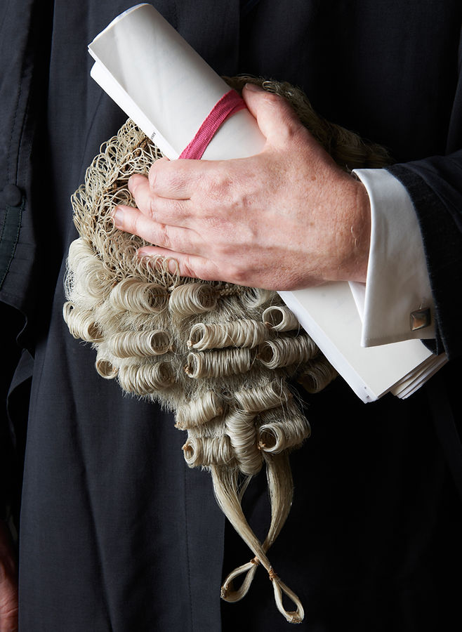 immigration barrister and wig
