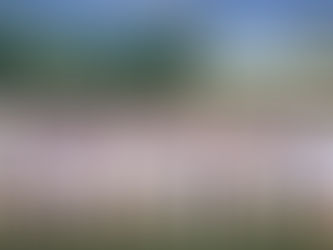 FAB Malaga vs Almeria result