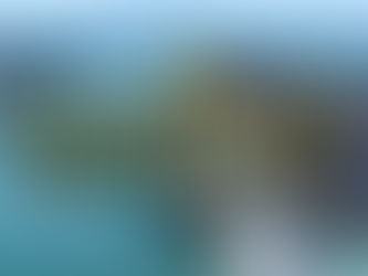 The Strategic Value of Standardized Terminology in International Trade