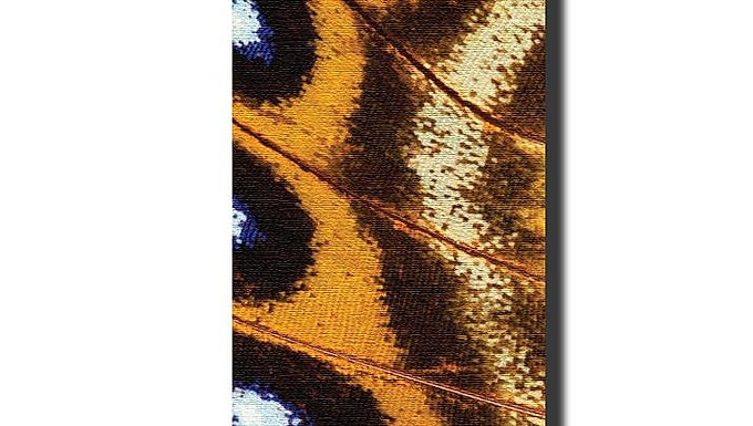 Yune Yoga Mat Butterfly 5mm