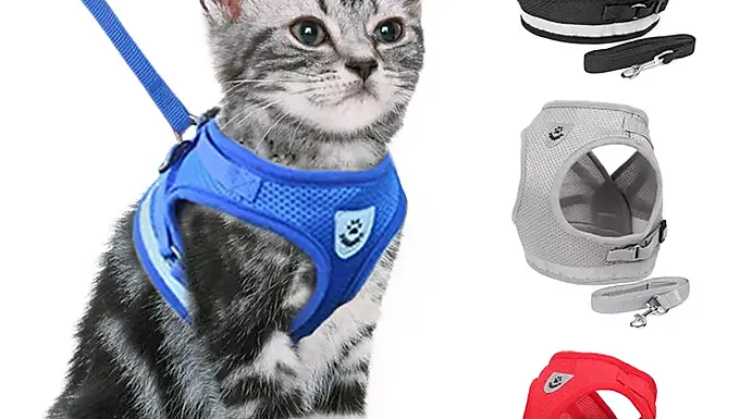 Reflective Cat Harness and Leash Set Nylon Mesh Kitten Puppy Dogs