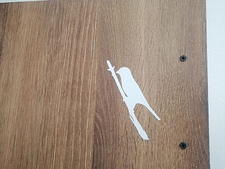 WhatsApp Image 2025-10-28 at 07.24.40 (1).jpeg