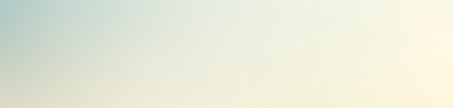 vecteezy_wheat-field-web-banner-with-copy-space_26466898_edited.png