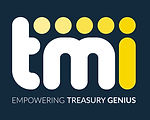 Treasury Management International
